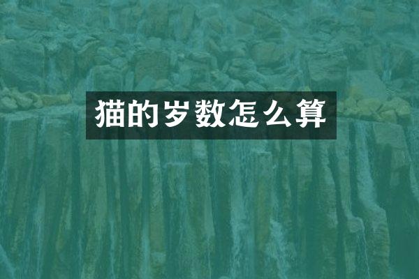 猫的岁数怎么算