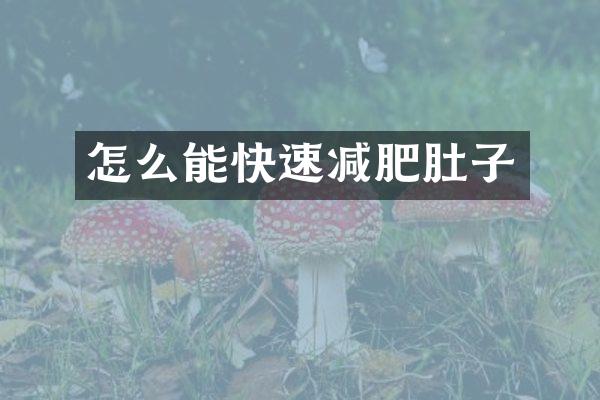 怎么能快速减肥肚子
