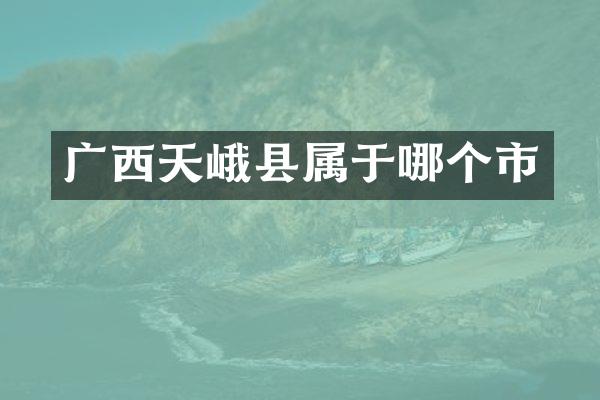 广西天峨县属于哪个市