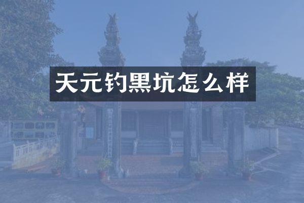 天元钓黑坑怎么样