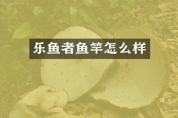 乐鱼者鱼竿怎么样