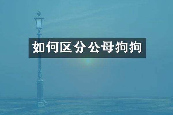 如何区分公母狗狗