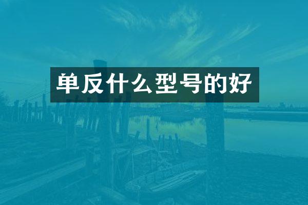 单反什么型号的好