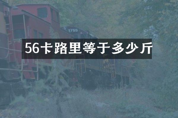 56卡路里等于多少斤