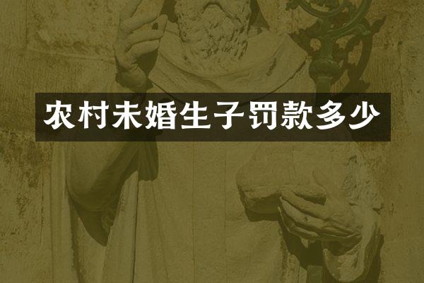 农村未婚生子罚款多少