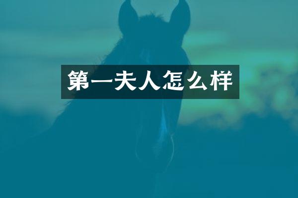 第一夫人怎么样