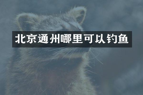 北京通州哪里可以钓鱼