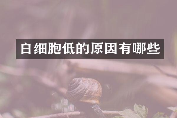 白细胞低的原因有哪些