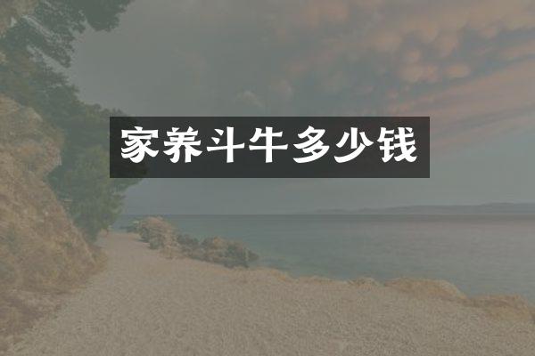 家养斗牛多少钱