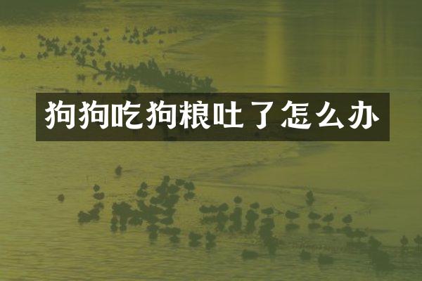 狗狗吃吐了怎么办
