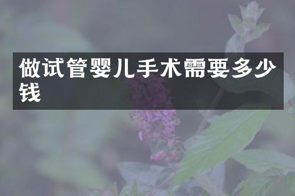 做试管婴儿手术需要多少钱