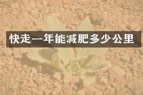 快走一年能减肥多少公里