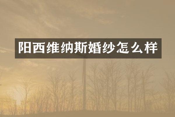 阳西维纳斯婚纱怎么样