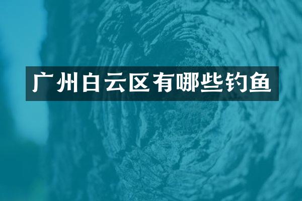 广州白云区有哪些钓鱼