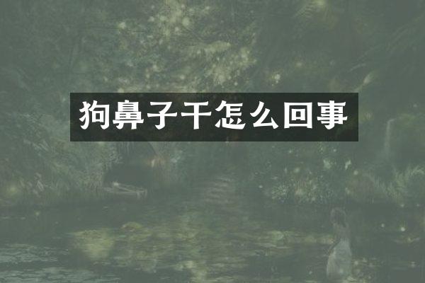 狗鼻子干怎么回事