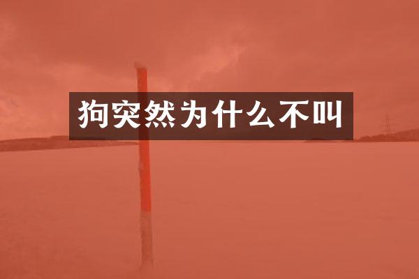 狗突然为什么不叫