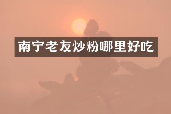 南宁老友炒粉哪里好吃