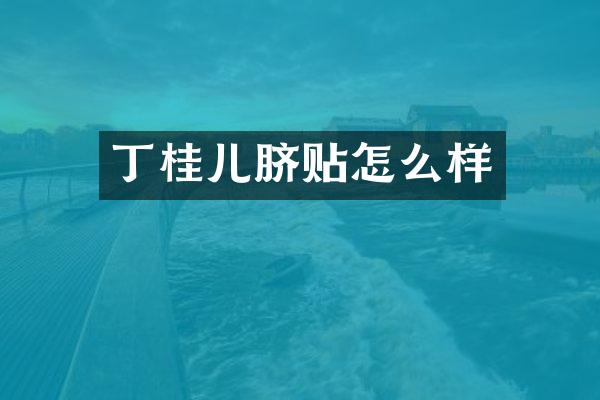 丁桂儿脐贴怎么样