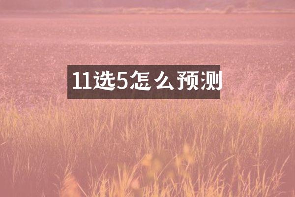 11选5怎么预测