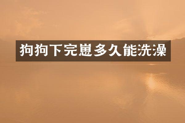 狗狗下完崽多久能洗澡