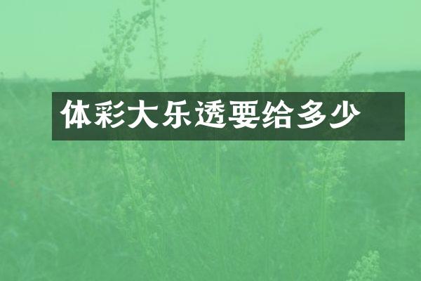 体彩大乐透要给多少稅