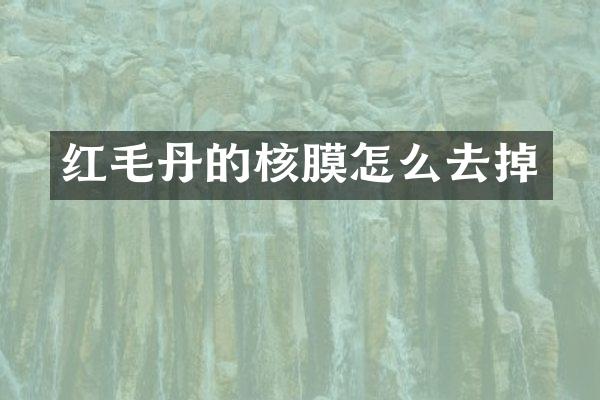 红毛丹的核膜怎么去掉
