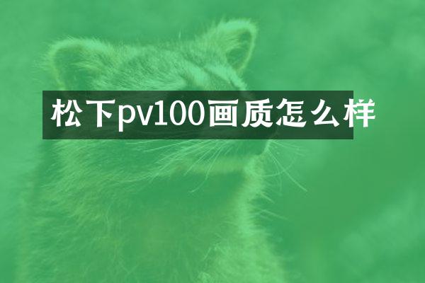 pv100画质怎么样