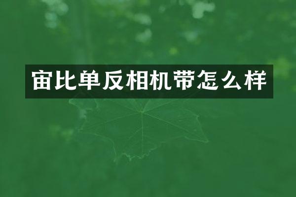 宙比单反相机带怎么样