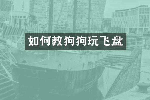 如何教狗狗玩飞盘