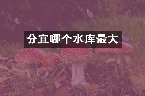 分宜哪个水库最大
