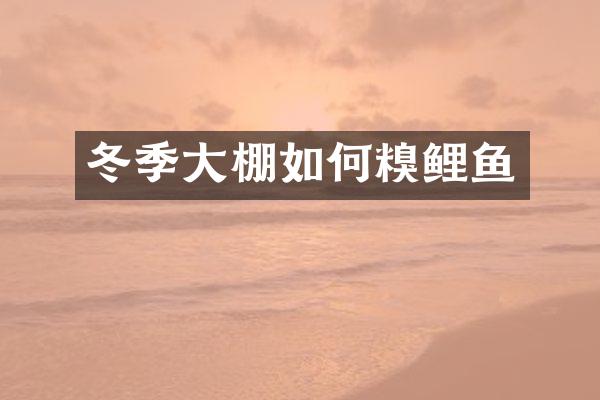 冬季大棚如何糗鲤鱼