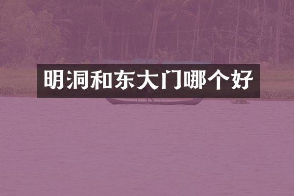 明洞和东大门哪个好