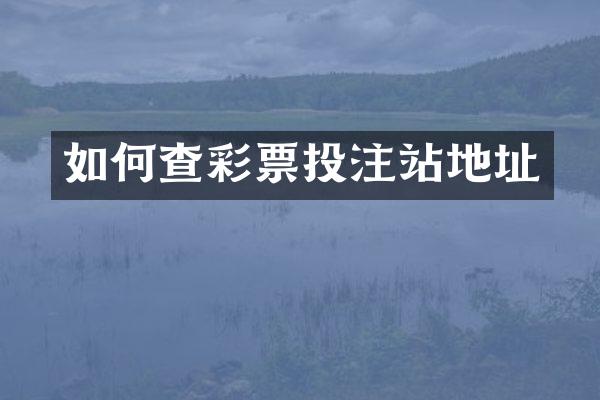 如何查彩票投注站地址