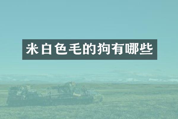 米白色毛的狗有哪些
