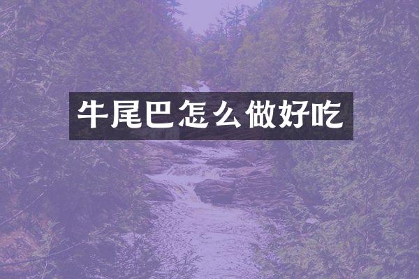 牛尾巴怎么做好吃