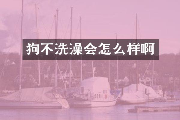 狗不洗澡会怎么样啊