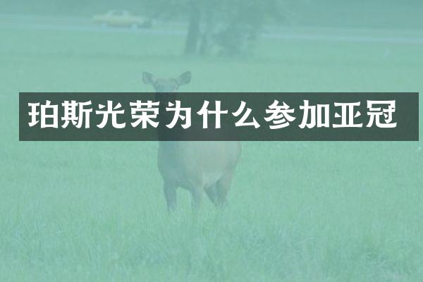 珀斯光荣为什么参加亚冠