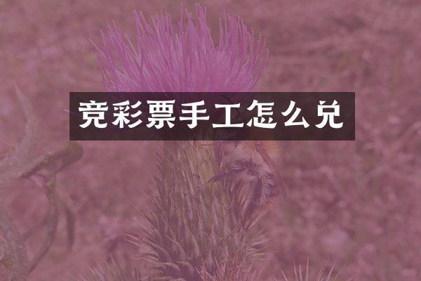 竞彩票手工怎么兑
