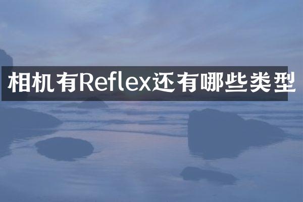 相机有Reflex还有哪些类型