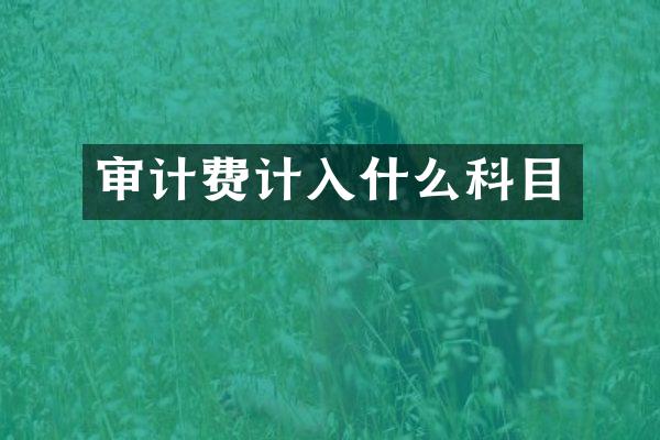 审计费计入什么科目