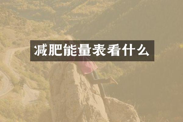 减肥能量表看什么