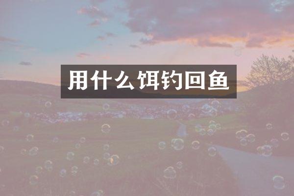 用什么饵钓回鱼