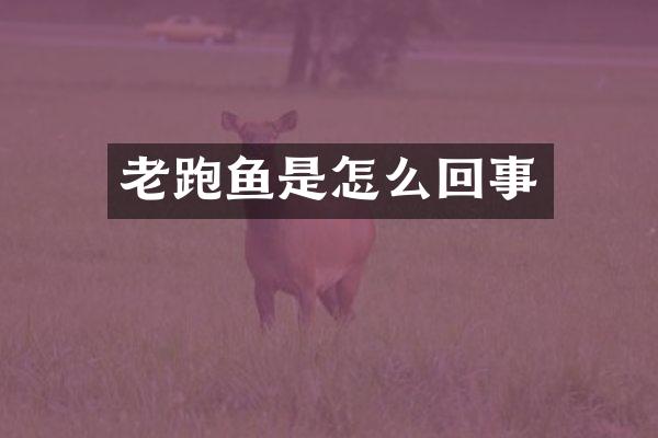 老跑鱼是怎么回事