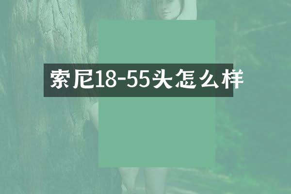 18-55头怎么样