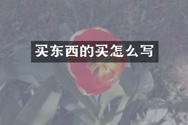 买东西的买怎么写