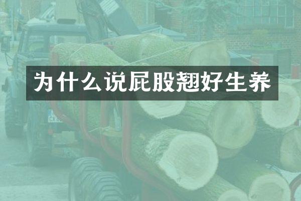 为什么说屁股翘好生养