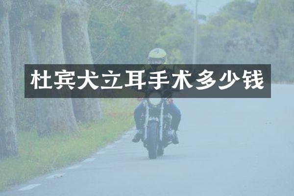 杜宾犬立耳手术多少钱