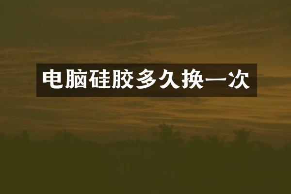 电脑硅胶多久换一次