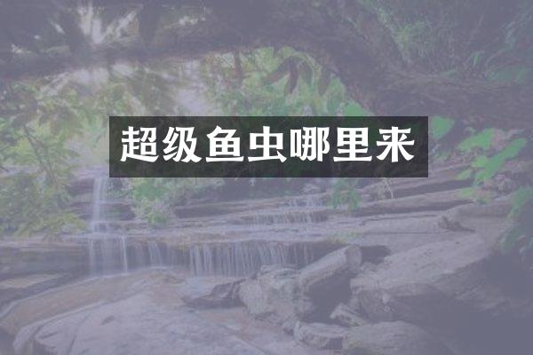 超级鱼虫哪里来