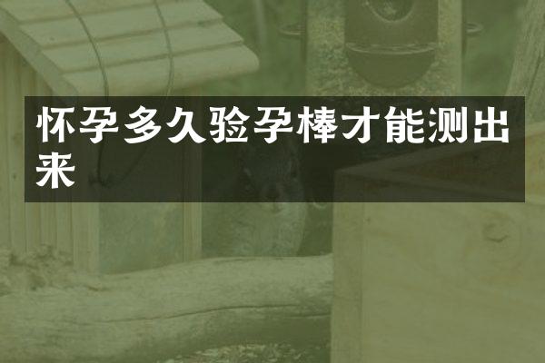 怀孕多久验孕棒才能测出来